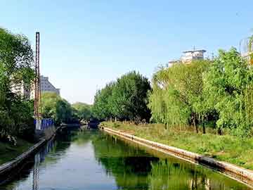 爱上海：The promotional activities and member benefits of Shanghai Tea House